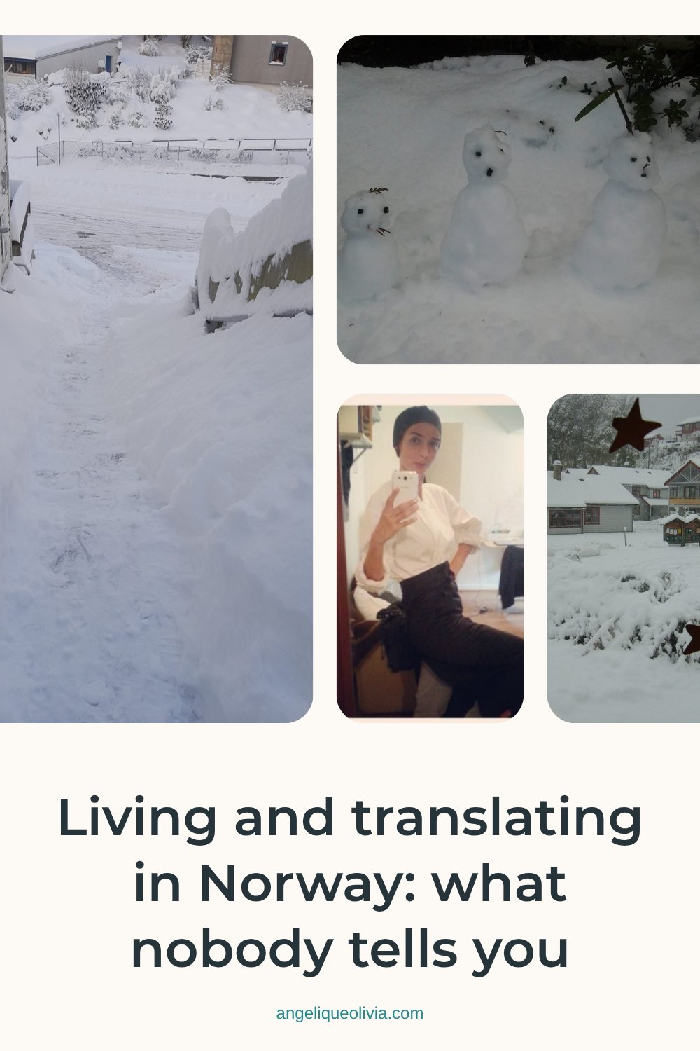 Pinterest pin for the article “Living and translating in Norway: what nobody tells you”