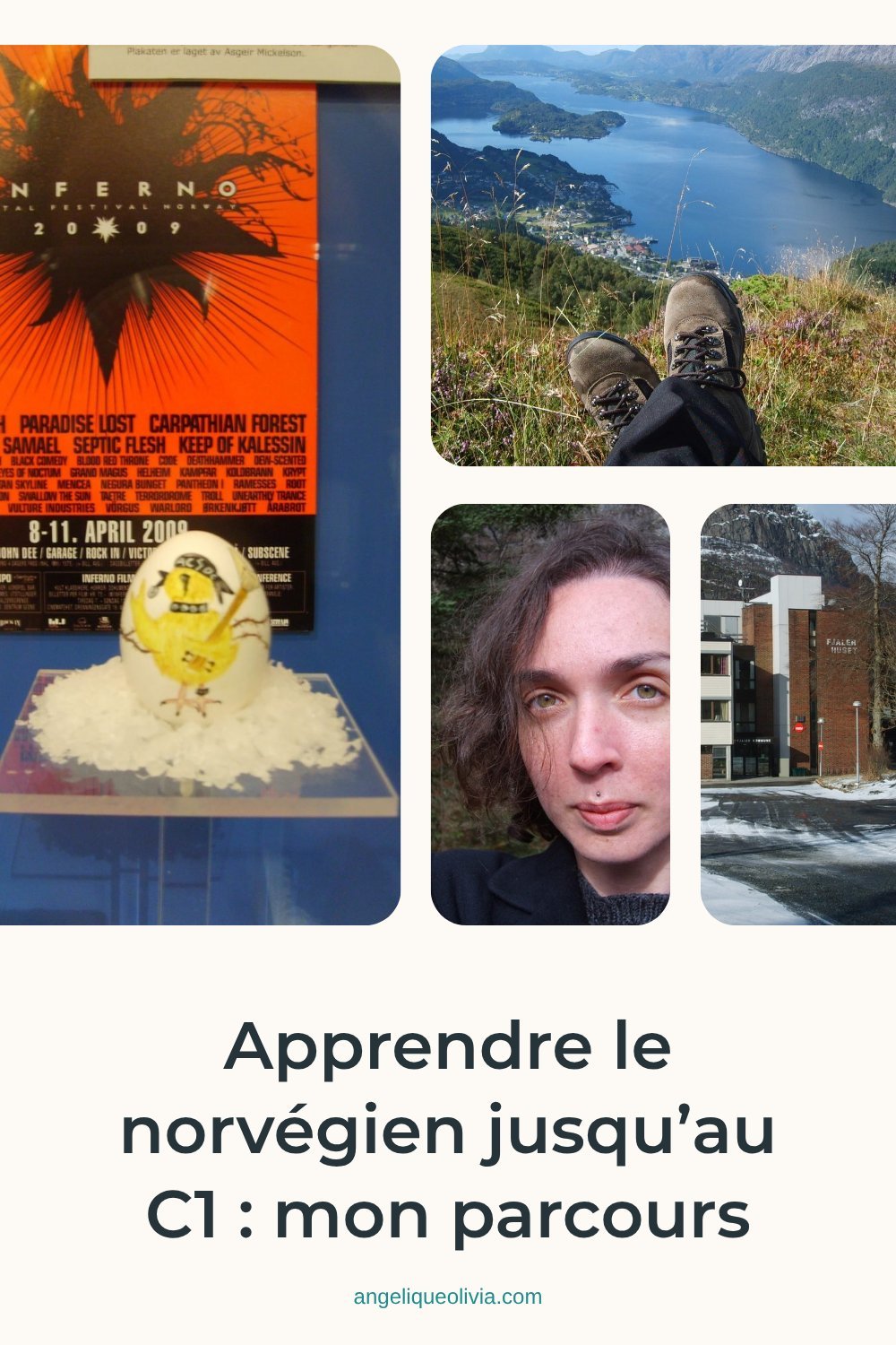 Épingle Pinterest de l’article « Bergen, enfin : comment j’ai appris le norvégien jusqu’au C1 »
