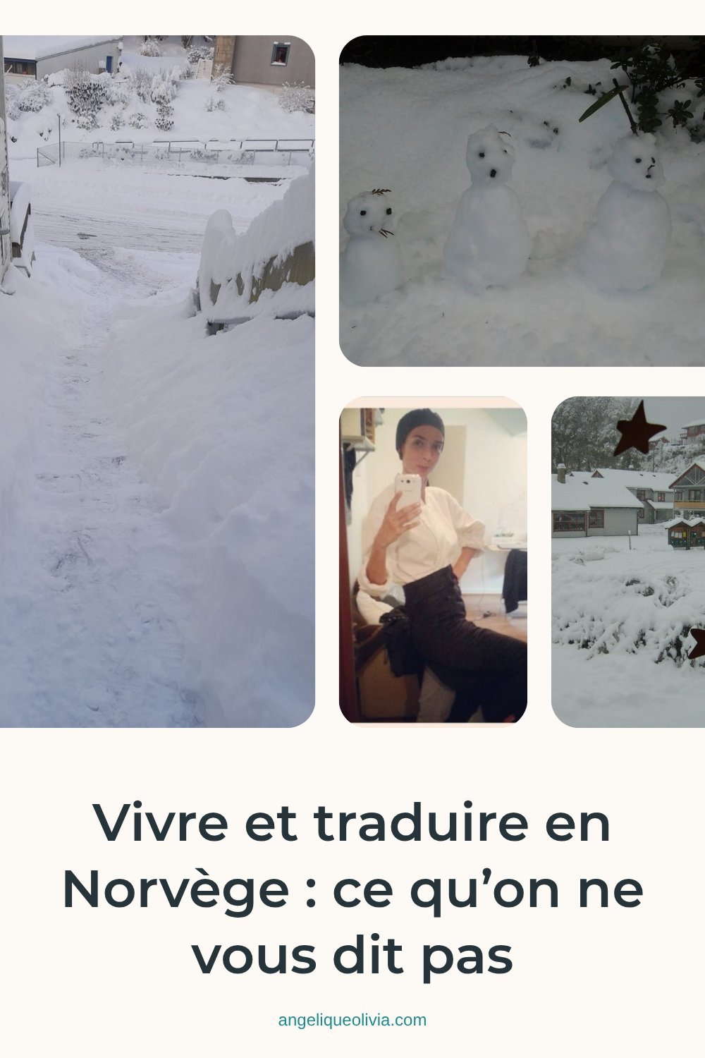 Épingle Pinterest de l’article « Vivre et traduire en Norvège : ce qu’on ne vous dit pas »