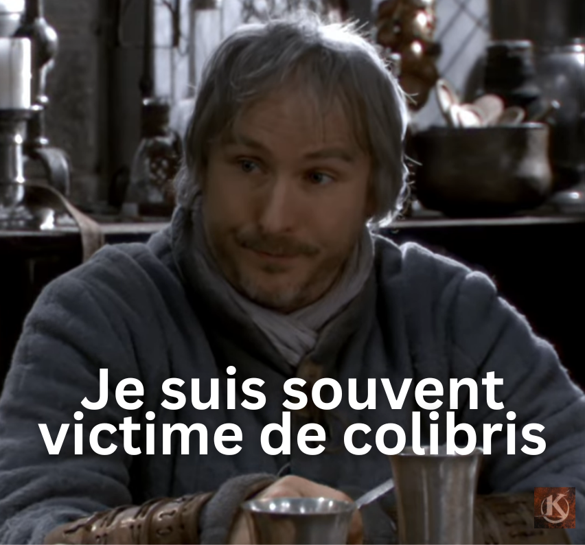 Tel un chevalier. Perceval.