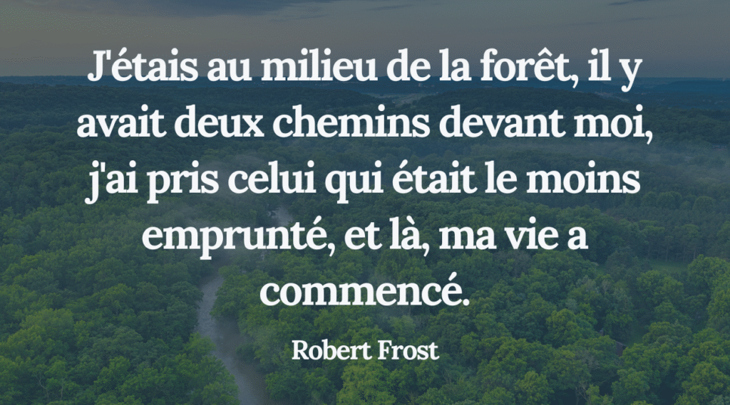 AO écriture romans errer citation Robert Frost
